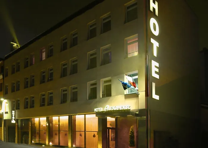 Alexander Hotel 3*