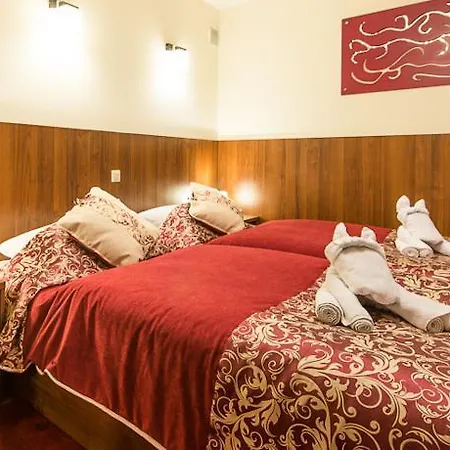 Alexander Otel